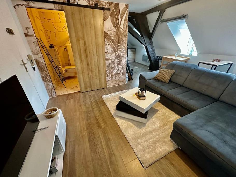 Logement Entier Au Coeur De Estrasburgo Exterior foto